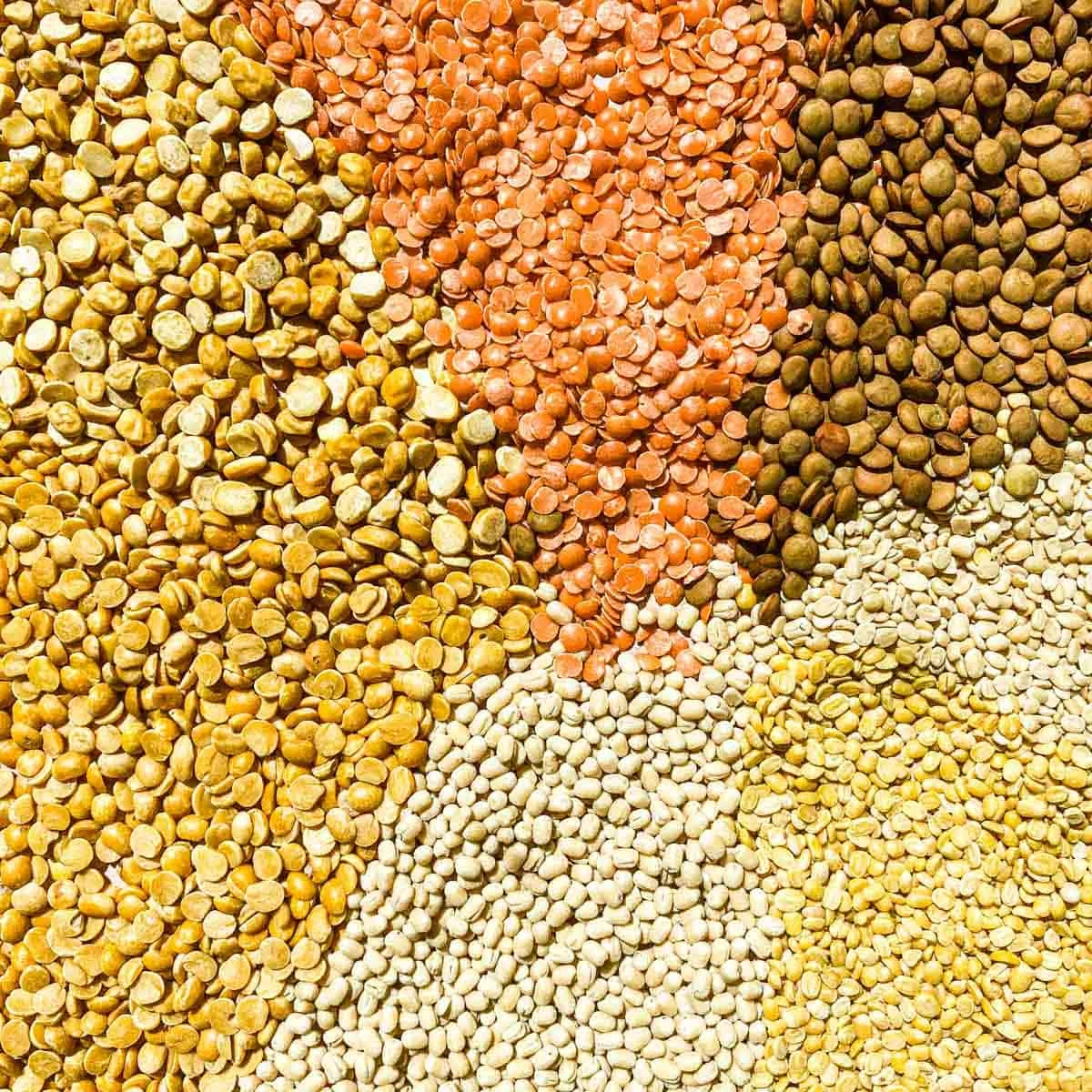 Lentils-12646865