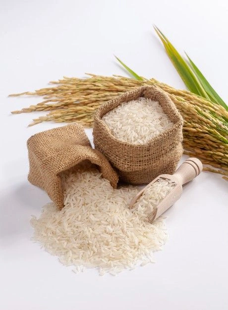 Rice-12646861