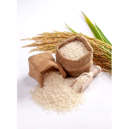 Rice-12646861