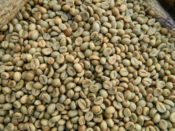 Robusta Green Coffee Beans-12605910