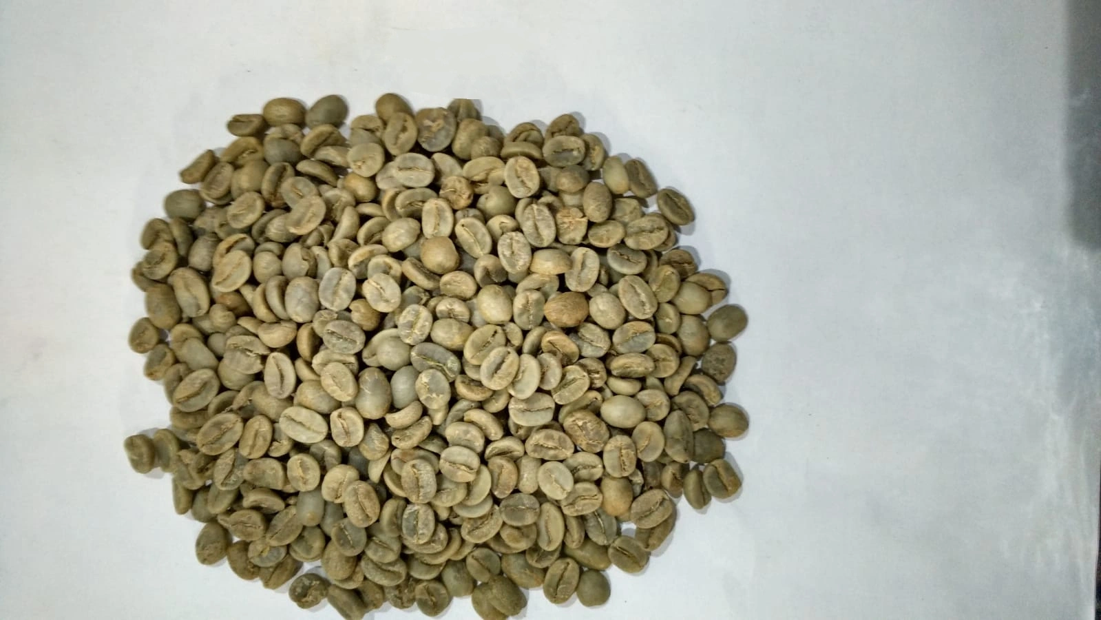 Arabica Green Coffee Beans-2