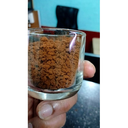 Agglomerated Instant Coffee-2