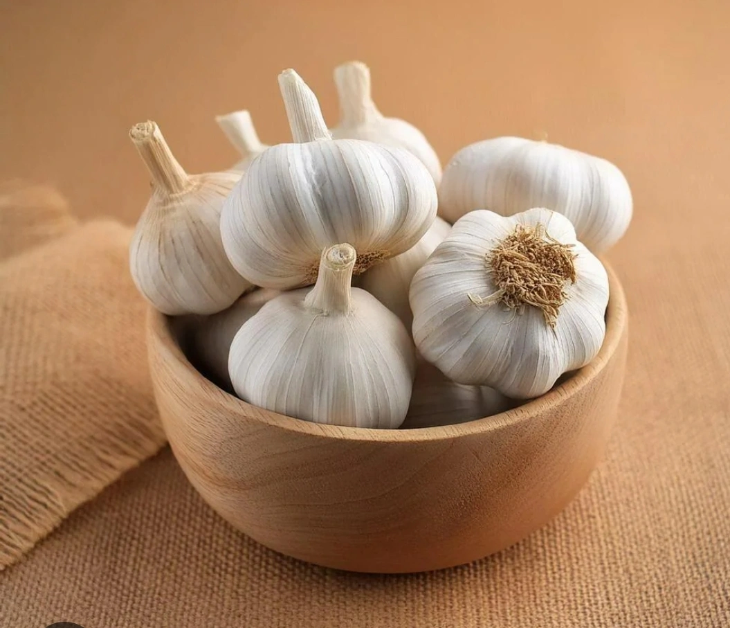 Garlic-3