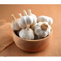 Garlic