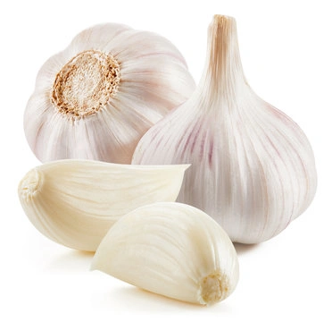 Garlic-12608328