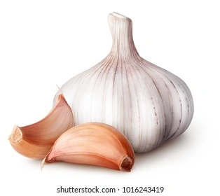 Garlic-1