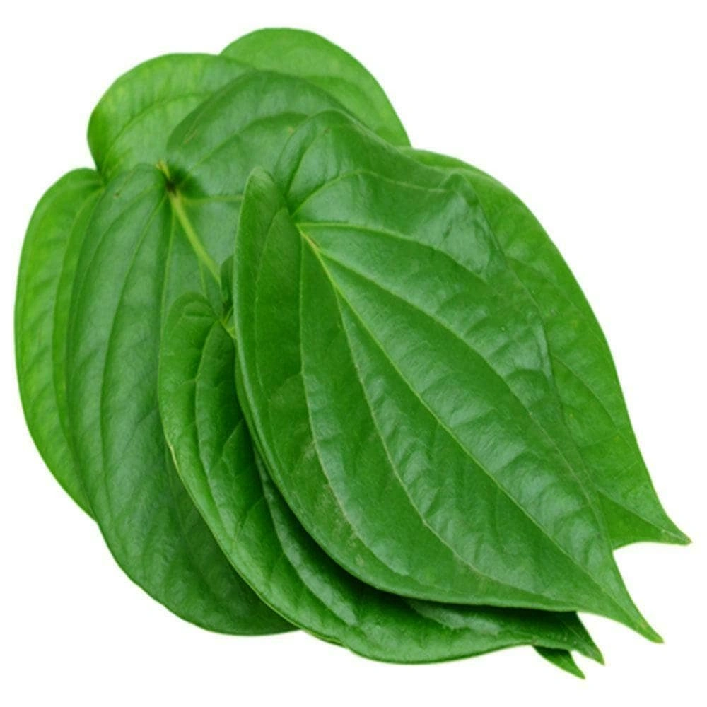 Betel Leaf-1