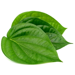 Betel Leaf