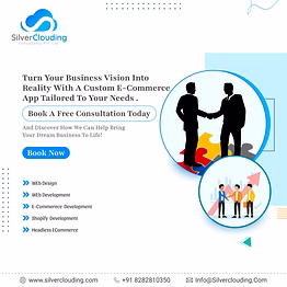 silverclouding ecommerce website development services
