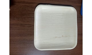 10" (25cm) Shallow Square Disposable Areca Plates