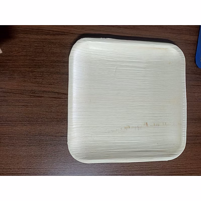 10" (25cm) shallow square disposable areca plates