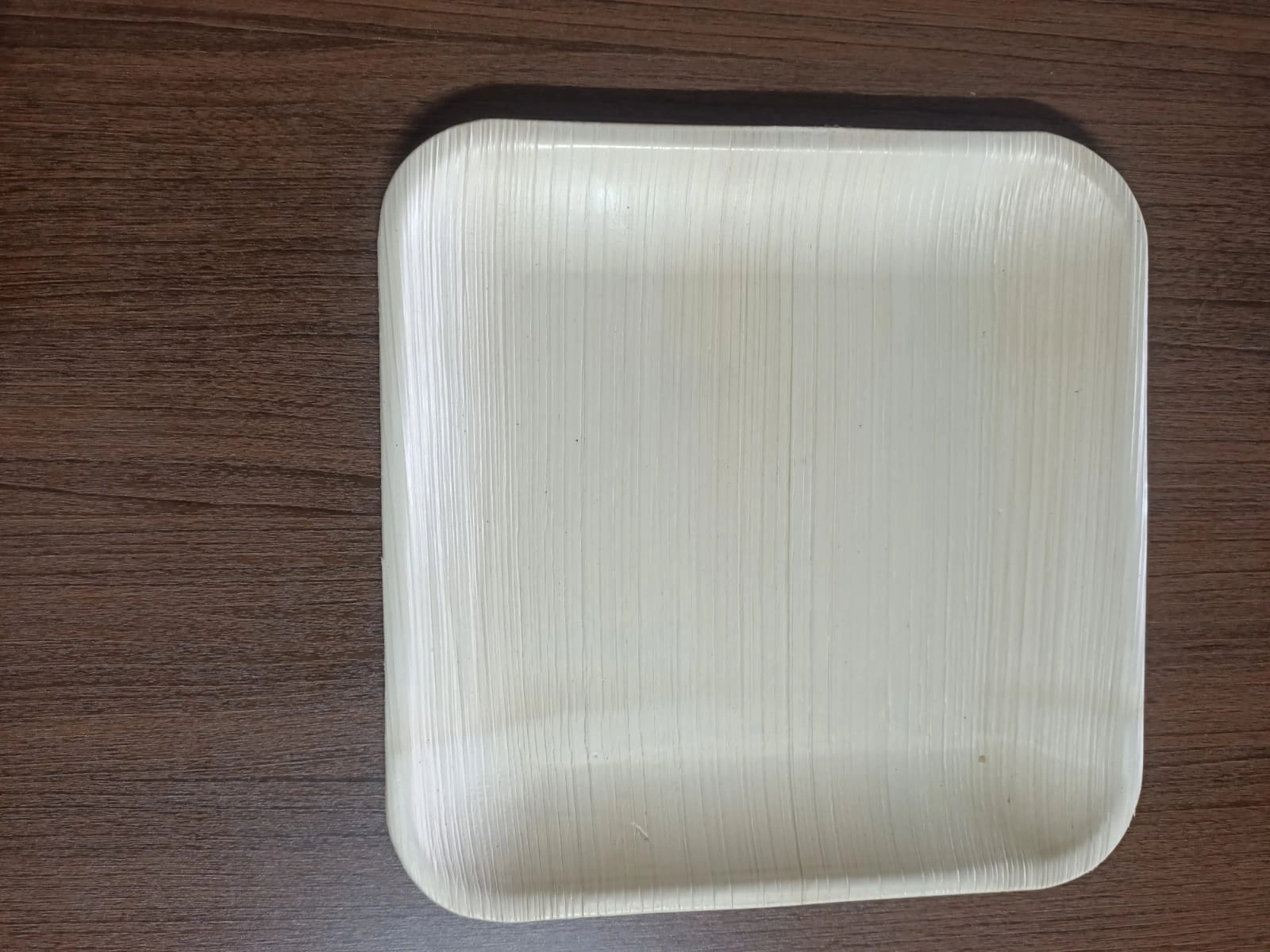 10&quot; (25cm) Shallow Square Disposable Areca Plates-1