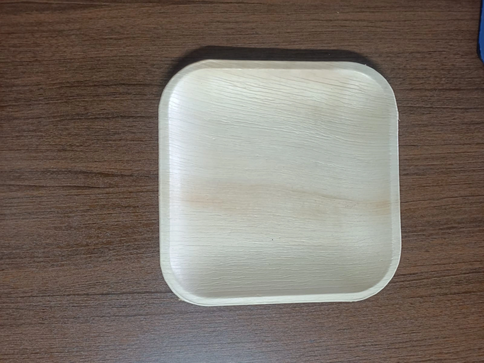 10&quot; (25cm) Shallow Square Disposable Areca Plates-2