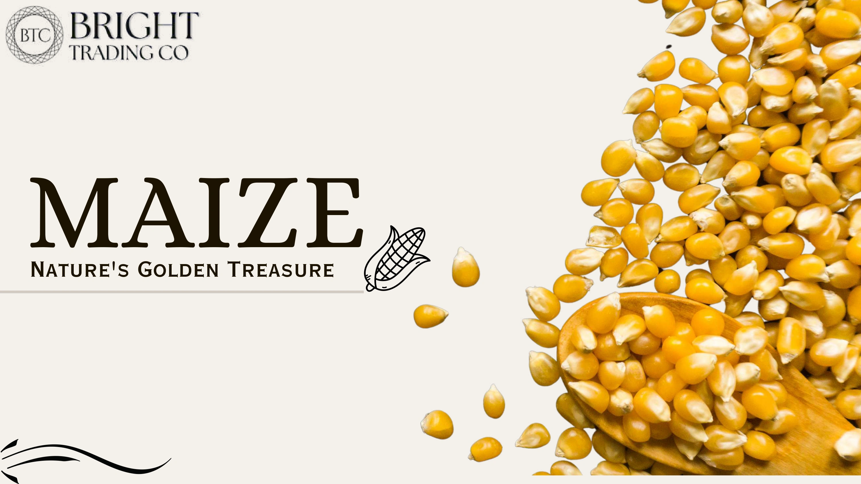 Maize corn-1