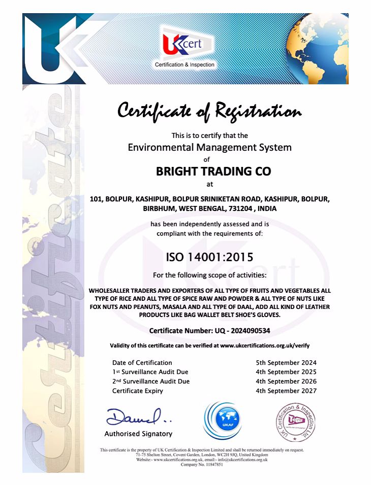 ISO 14001 Certificate