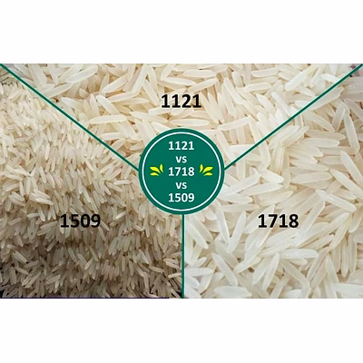 Basmati Sella Rice 1121-1
