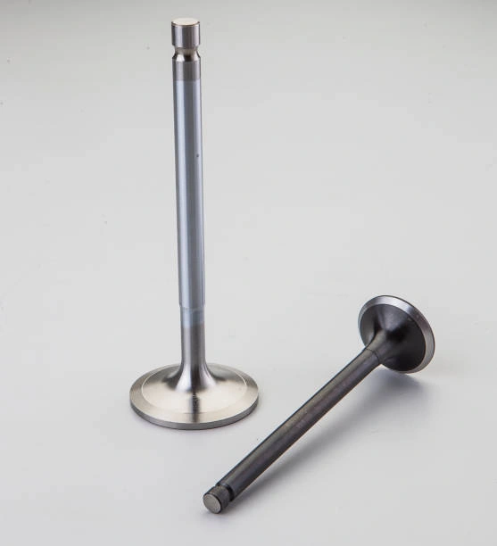 intake exhaust valve-1