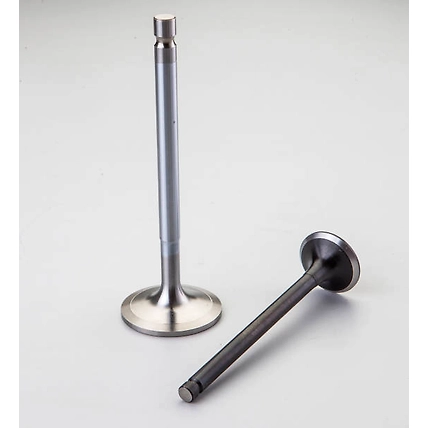 intake exhaust valve-1