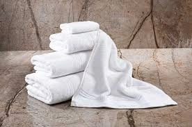 Terry Towels-1