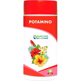 POTAMINO