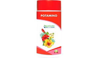 POTAMINO
