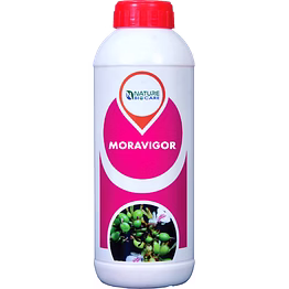 moravigor (botanical –biostimulant)