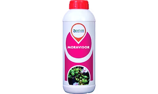MORAVIGOR  (BOTANICAL –BIOSTIMULANT)