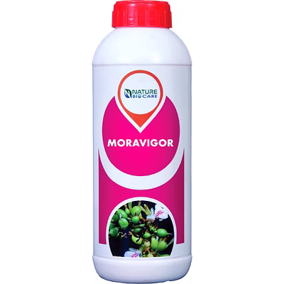 moravigor (botanical –biostimulant)