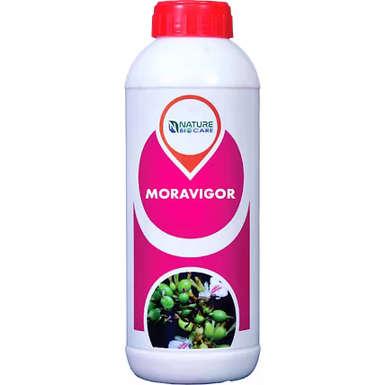 MORAVIGOR  (BOTANICAL –BIOSTIMULANT)-12755267