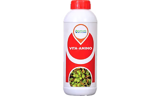 VITA AMINO