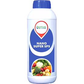 NANO SUPERSPS