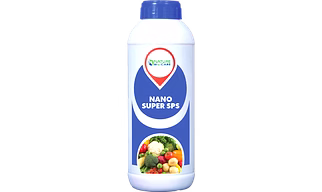 NANO SUPERSPS