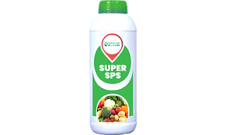 SUPER SPS