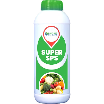 SUPER SPS-12755277