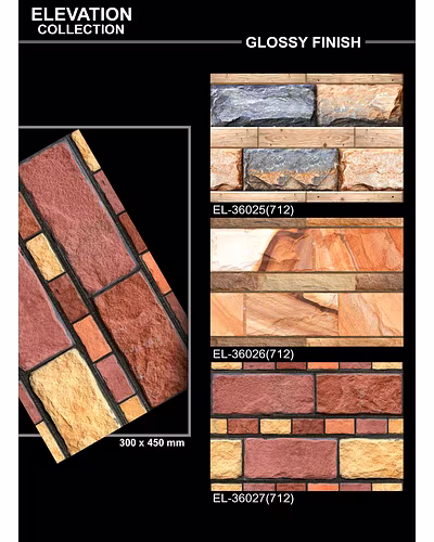 GLOSSY ELEVATION  PORCELAIN WALL TILES 300 X 450-2