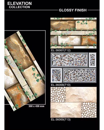 GLOSSY ELEVATION  PORCELAIN WALL TILES 300 X 450-3