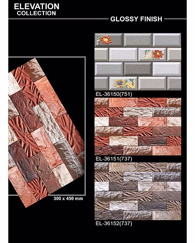 GLOSSY ELEVATION  PORCELAIN WALL TILES 300 X 450-4