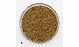 Cumin Seeds | Premium Indian Jeera | Export Quality Whole Cumin Seeds from India