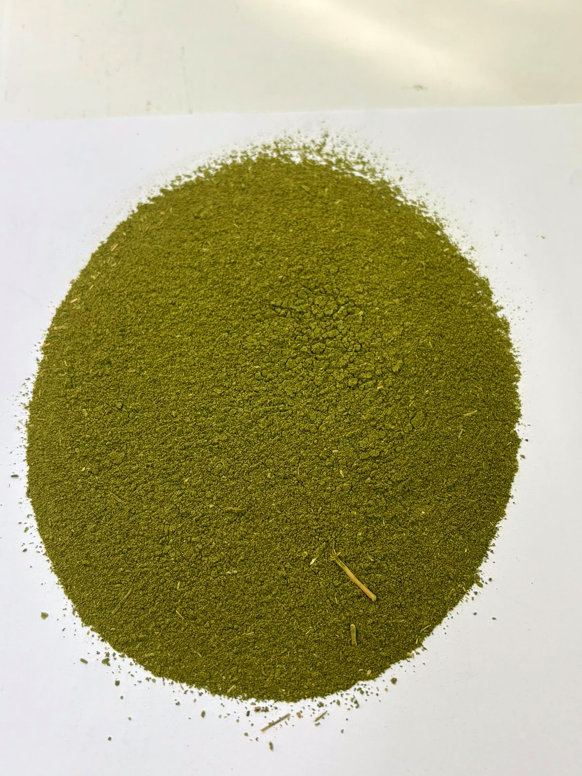 Dehydrated Spinach Powder | Dried Spinach Powder | Premium Vegetable Powder from India image 1