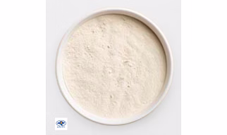White Onion Powder | Dehydrated White Onion Powder | Premium Onion Powder Manufacturer from India