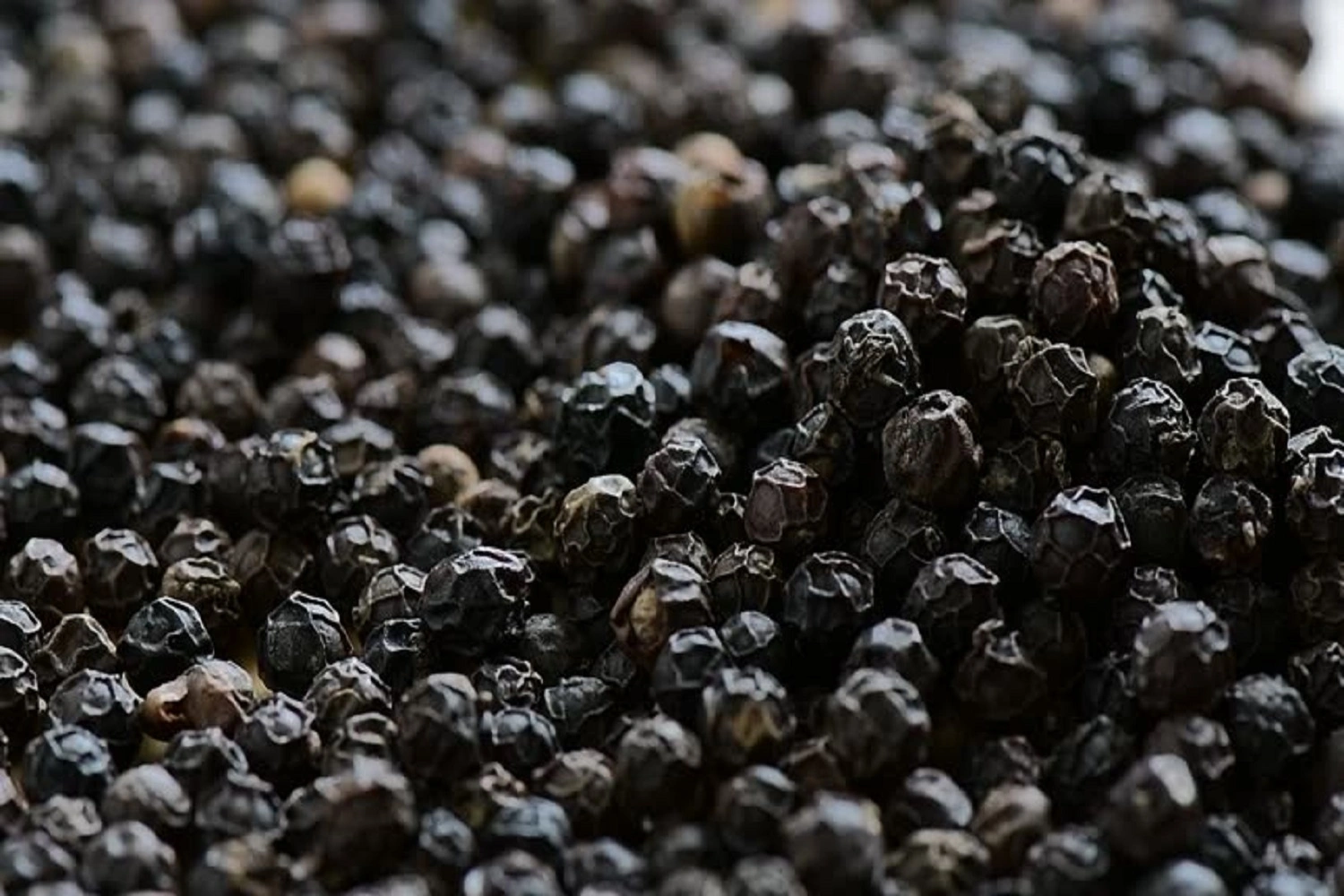 Indian Black Pepper-2