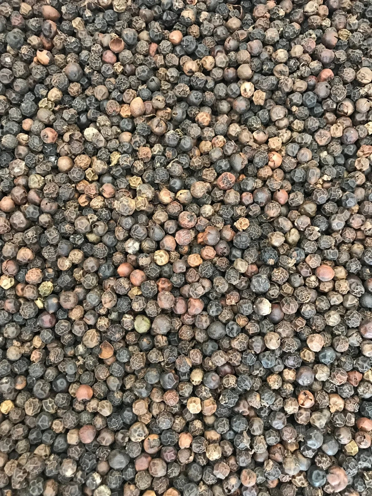 Indian Black Pepper-4