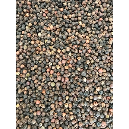 Indian Black Pepper-4