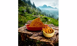 Cordyceps Militaris Mushroom Extract Powder