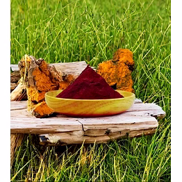chaga mushroom extract powder
