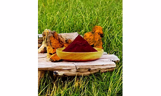 Chaga Mushroom Extract Powder