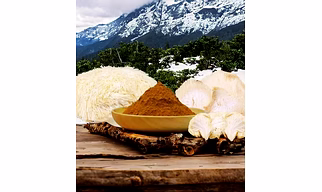 Lion'S Mane Mushroom Extract Powder