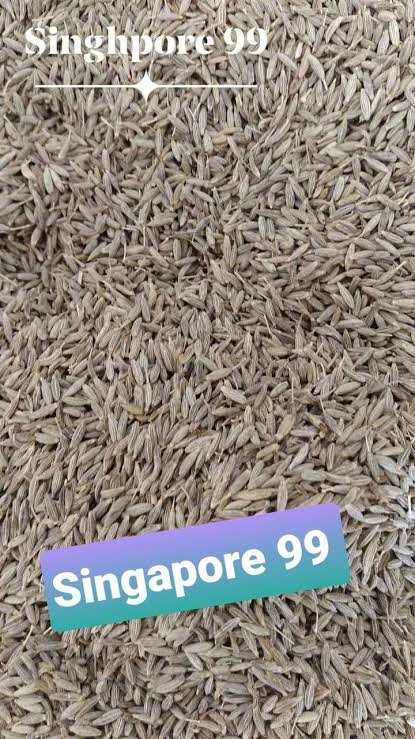 CUMIN SEEDS (SINGAPORE 99% PURITY) WHOLE-12617466