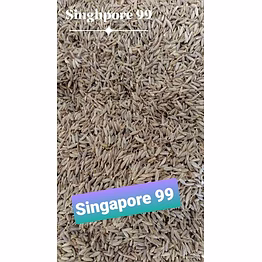 vi king cumin seeds (singapore 99% purity) whole