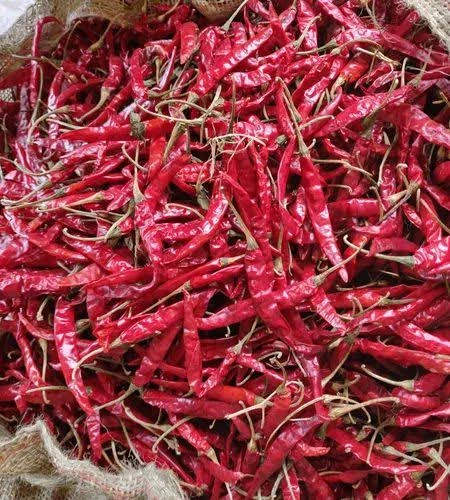 DRY RED CHILLIES  WHOLE (GUNTUR QUALITY)-12617468